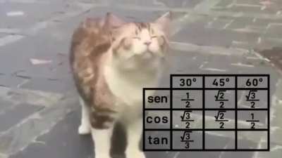 trigonometry rule