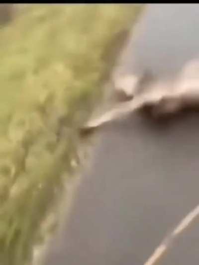 Slippery