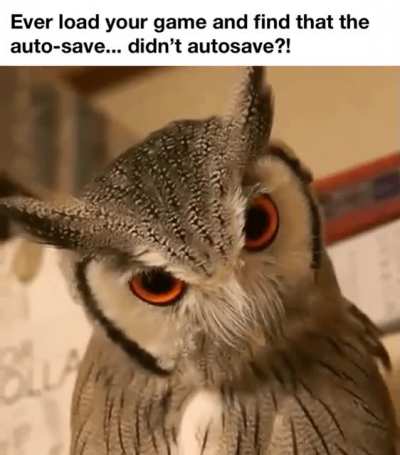 THAT’S NOT WHERE I WAS!