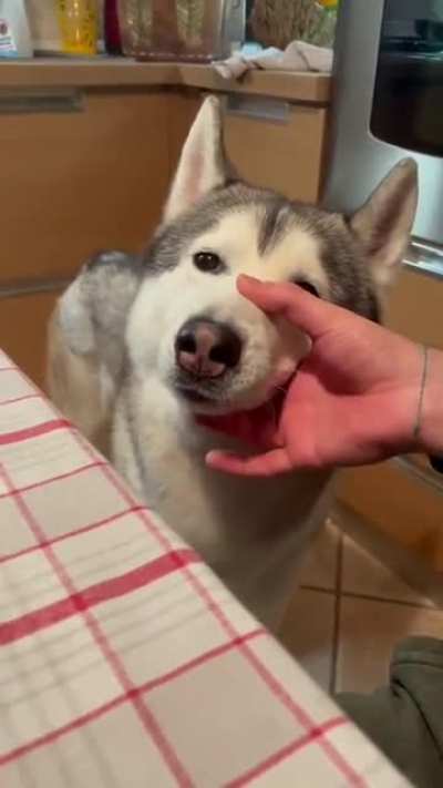 Авявя<wbr>вявяв<wbr>явяяя<wbr>я