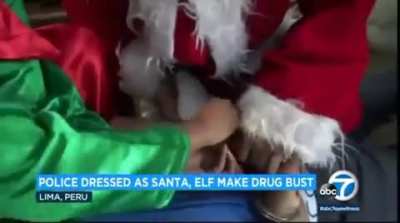 Police in Peru spread Christmas cheer by making drug bust dressed as Santa and an elf
