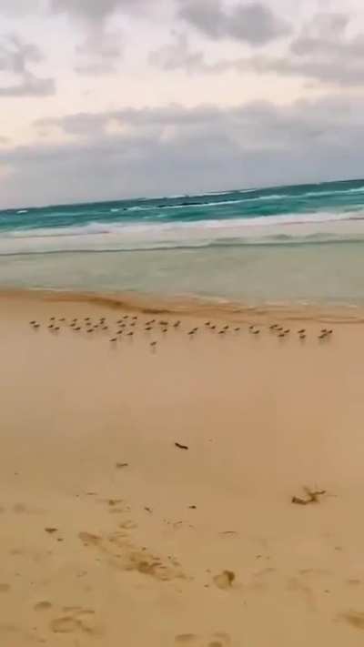 Following waves