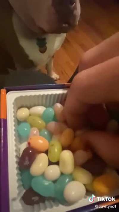 I know it’s tik tok but thought it belonged here.