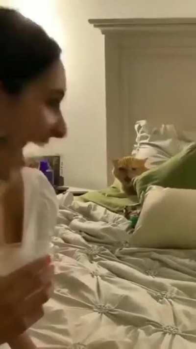 This is NOT your bed!