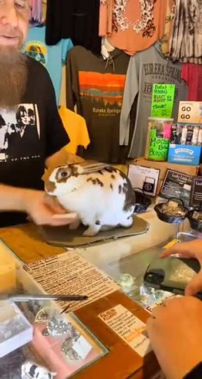 That bunny works harder than half the staff I work with!