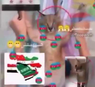 Arabic floppa 😳 تركيا بلد جميل. باكستان وتركيا شقيقان