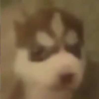 Título foda