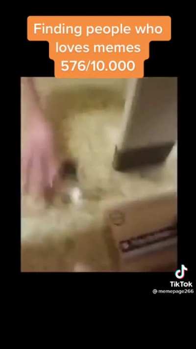 Yoooo!!