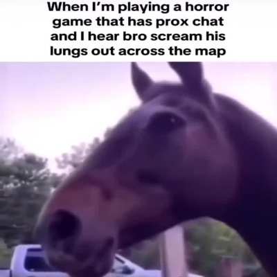 looting