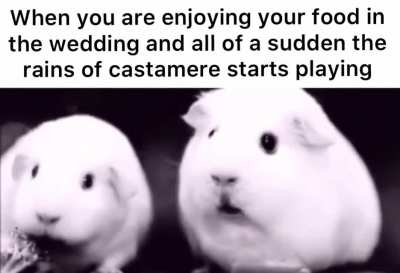 *Chuckles* i’m in danger