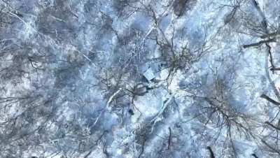 Ukrainian drone hits Russian soldier and their equipment 