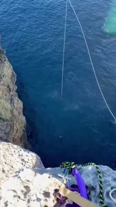 Leap of faith