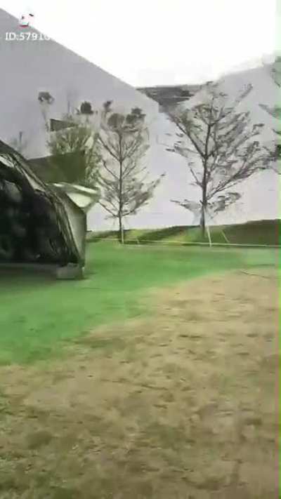 祖国绿化的效率就是高就是高就是高