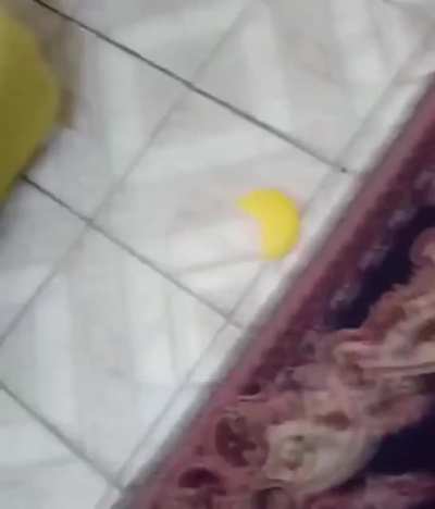 Só um pouco duro