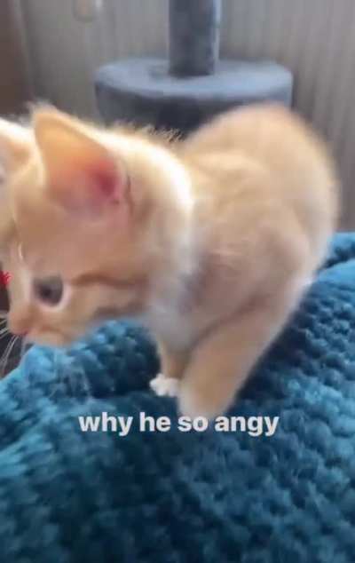 💢