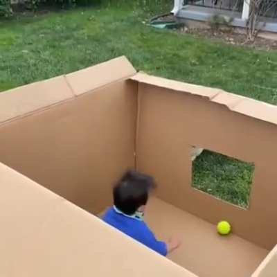 Playing fetch
