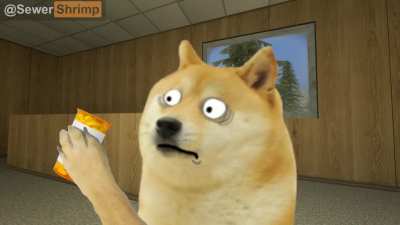 Doge tries a perc