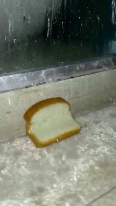 Pão depressivo