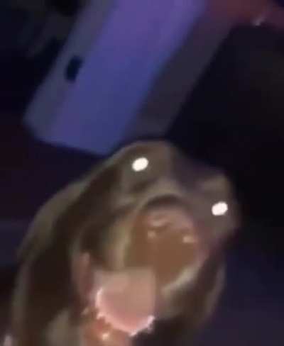 MISA_DUHONGO