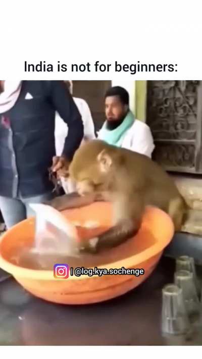India is not for beginners