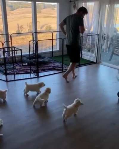 Follow the leader