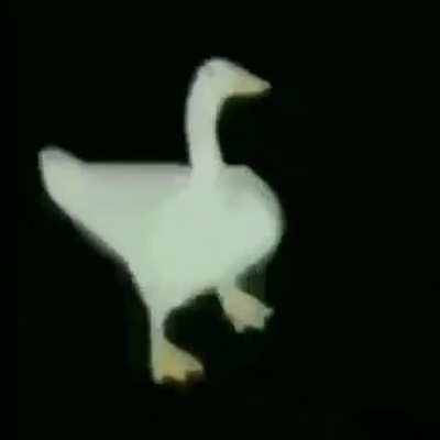 Eu na quarentena indo comprar pão de queijo