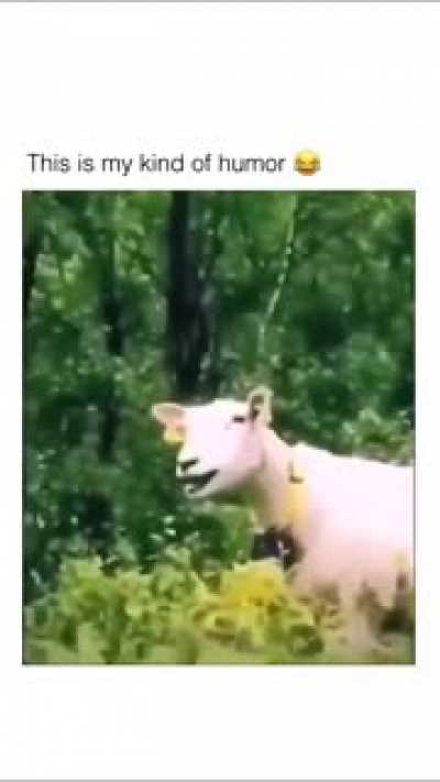 MaH
