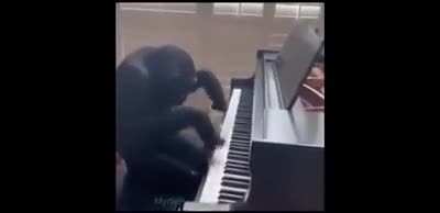 monke