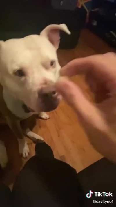 Coconut or spoiled milk!?