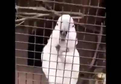 Hello...