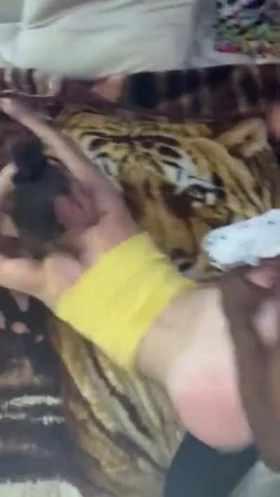 College slut, bbc slut