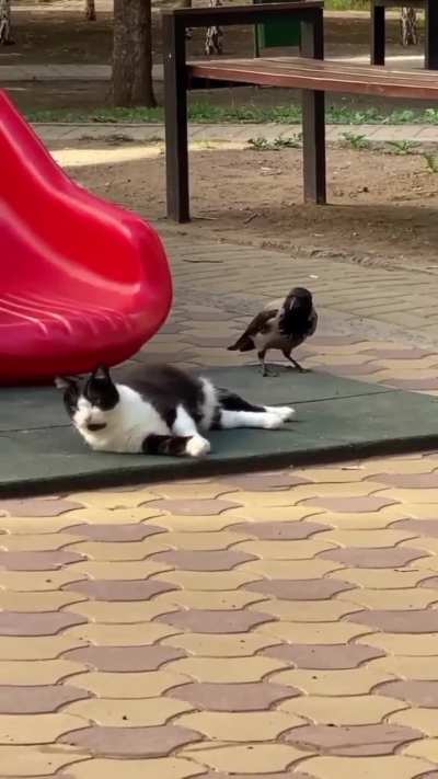 Maybe maybe maybe