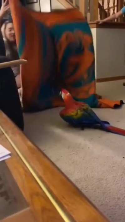 AHHHHHH-