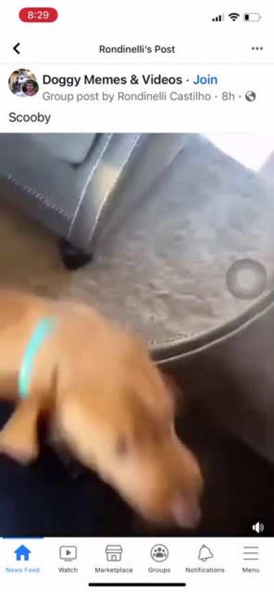 The look on his face