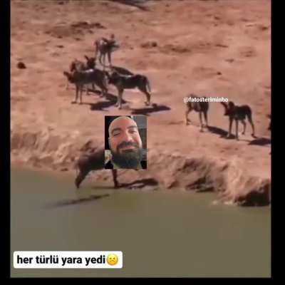 Hastalanmış