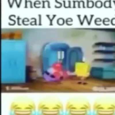 😹😹😹