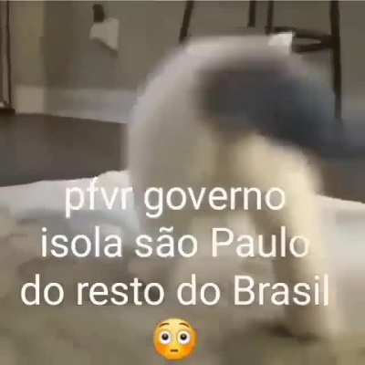 Por favo