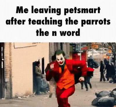JAJA MEME LLANKI