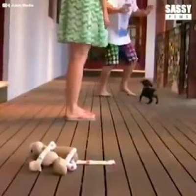 Puppy saved the little girl... Oh, my......