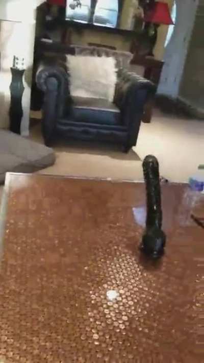 Blursed_flip