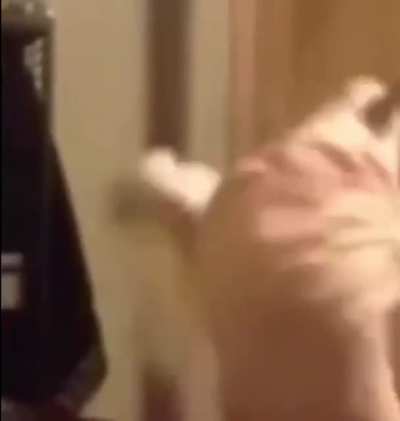 me_irl