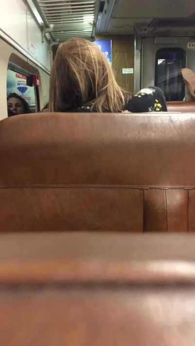 Sex on a Train