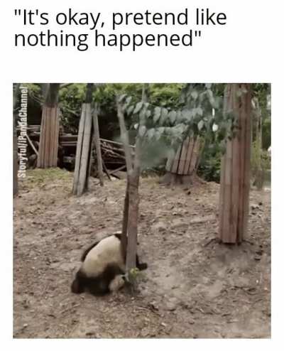 Pandas are my spirit animal