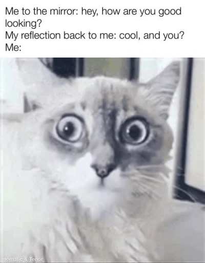 ...okay bye!