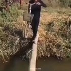 Slippery Log