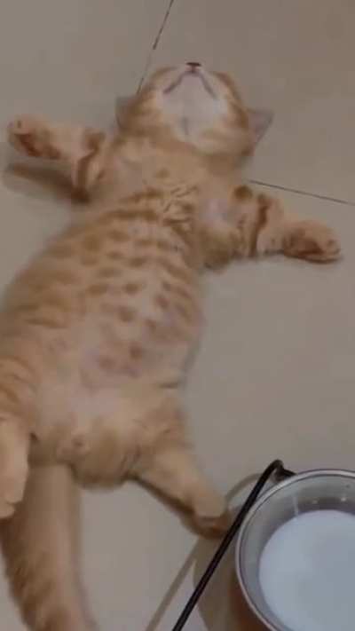 How i'd be after a good meal 🤗