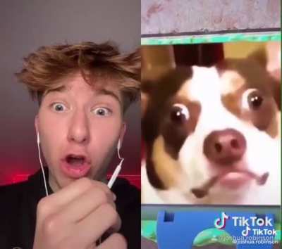 What's gonna happen :o