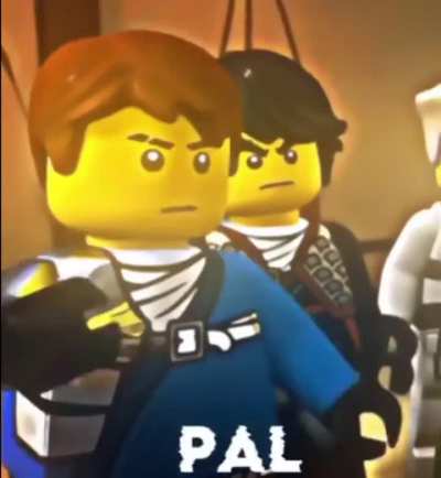 Ninjago wild