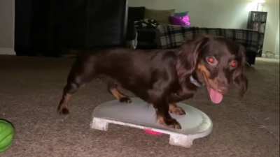 The Burden of Tippy Taps