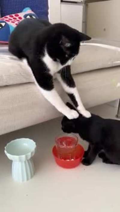 Stay hydrated